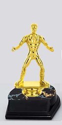 Base and Figure Boxing and Wrestling  Trophies