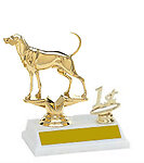2BF Coonhound Bench Show Trophies