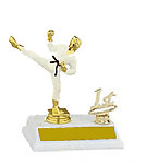 Full Color Male Martial Arts Trophy with trim 2BF80155cl