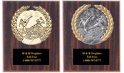 Cherry Finish Kickboxing Trophy Plaque Awards