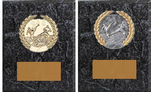 Kickboxing - Karate - Tae Kwon Do - Judo - Martial Arts Plaque Awards