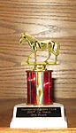 Equestrian Trophies, Horse Show Trophies and Rodeo Trophies