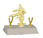Male Martial Arts Trophy with double trim 3BF84165
