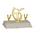 Base and Topper Martial Arts Trophy