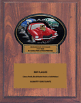 Muscle Car Show Plaques BTX797-CFV