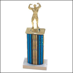 Strongman Trophies, Bodybuilder Awards, Lifting Trophy Awards