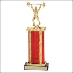 Strongman Trophies, Bodybuilder Awards, Lifting Trophy Awards