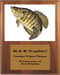 Crappie Plaques V Series Genuine Walnut