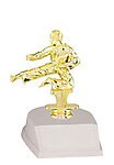 Male Martial Arts Trophy BF84165