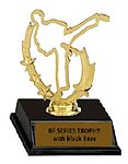 Martial Arts Trophy BF90875