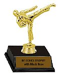 Male Martial Arts Trophy BF9410
