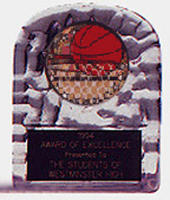 Acrylic Block Ice Basketball Trophy