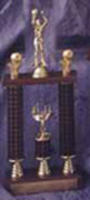 Two Post Trophy with Risers