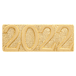 Year Letter Pin