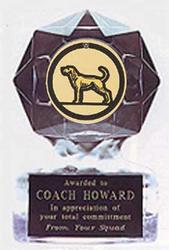 Acrylic Star Ice Coon Hunt Trophy Award
