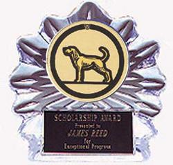 Acrylic Flame Ice Coon Hunt Trophy Award