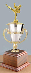 Cup Martial Arts Trophies