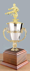 Cup Martial Arts Trophies