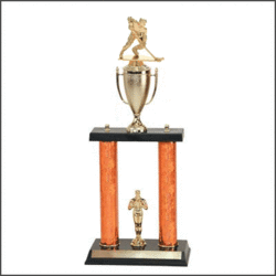 DPC Hockey Trophies