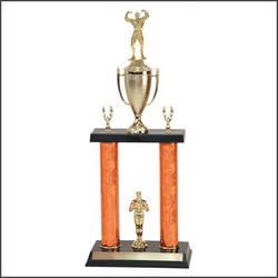 Big Bodybuilding Trophies and Lifting Trophies with Double Posts
