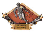 Resin Male Basketball Plaque Award DSR12-52