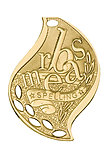 Flame Spelling Medals FM-217 with Neck Ribbons