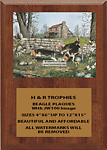 Beagle Field Trial Plaques V Series