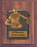 Mounted Resin Male Basketball Plaque Award 54705-810