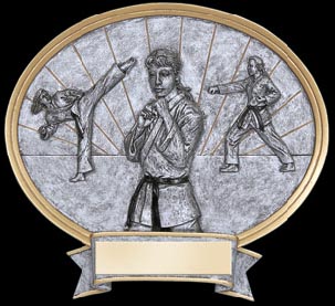 Resin Women's Karate Plaque Award