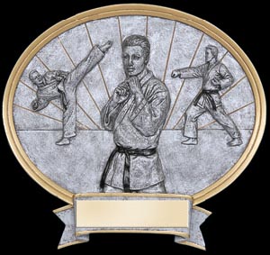 Resin Men's Karate Plaque Award