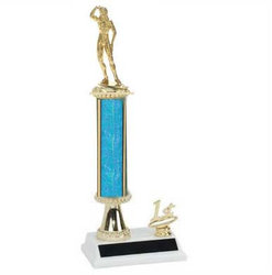 Bodybuilder Trophies, Weightlifter Trophies, Power Lifter Trophies R2R