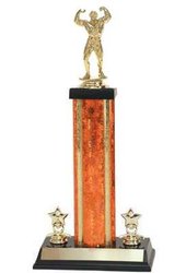 Men's, Women's, Bodybuilding Trophies, Lifting Trophies S3