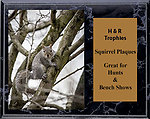 Squirrel Hunt Plaques H Series