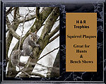 Squirrel Hunt Plaques BMH Series