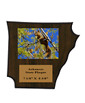 Squirrel Hunt Plaque Arkansas