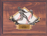 DPS11-51-60-10 Baseball Plaque