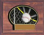 Mounted Baseball in Fence Plaque RMP