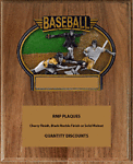 Play at Home Baseball Plaque RMP WBTX751
