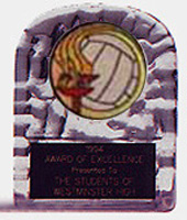 Acrylic Block Ice Volleyball Trophy