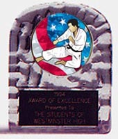 Acrylic Block Ice Martial Arts Trophy