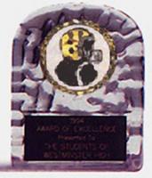 Acrylic Block Ice Football Trophy