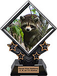 Coon Hunt Diamond Star Trophies