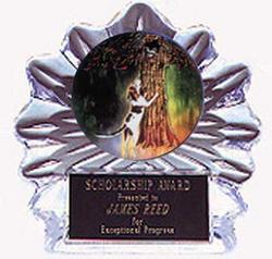 Acrylic Flame Ice Coon Hunt Trophy Award
