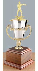 Wrestling Cup Trophy, Boxing Cup Trophy