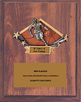 Resin Male Basketball Plaque RMPV-DPS12-52