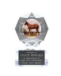 Acrylic Star Ice Equestrian Trophies