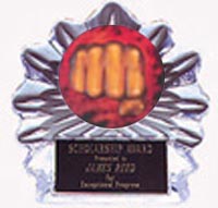 Acrylic Martial Arts Trophies Flame Ice Awards
