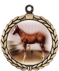Equestrian Medal