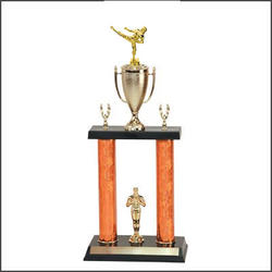 DPC Martial Arts Trophies with Double Post