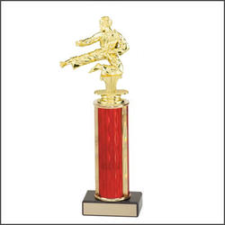 R1 Martial Arts Trophies